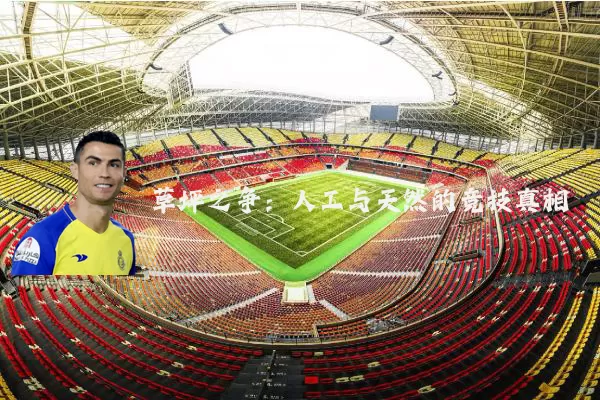 草坪之争：人工与天然的竞技真相